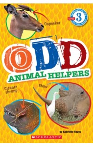 Odd Animal Helpers. Level 3