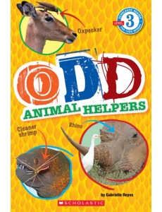 Odd Animal Helpers. Level 3 Odd Animal Helpers. Level 3