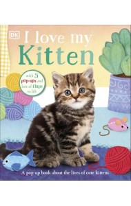 I Love My Kitten. A Pop-Up Book About the Lives of Cute Kittens