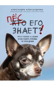 Пес его знает! Что в голове у собаки, и как понять причины ее поведения