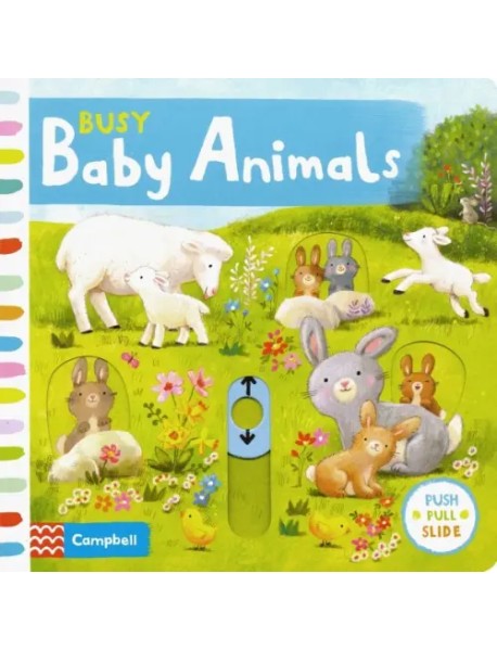 Busy Baby Animals