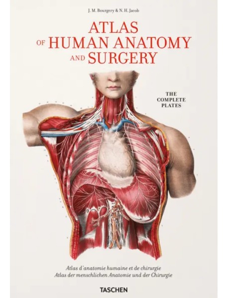 Atlas of Human Anatomy and Surgery