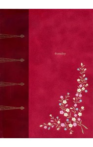 Фемидор, или История моя и моей любовницы