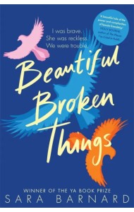 Beautiful Broken Things