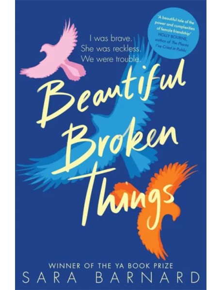 Beautiful Broken Things