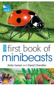 RSPB First Book Of Minibeasts