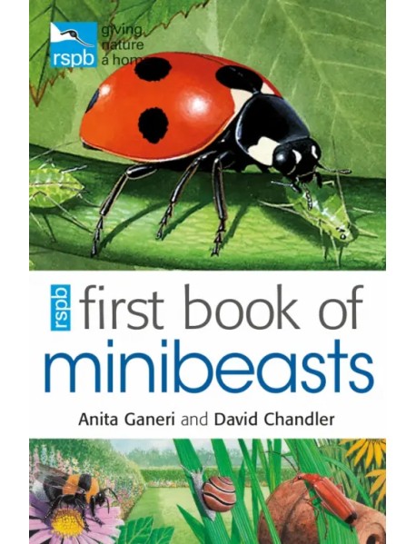 RSPB First Book Of Minibeasts