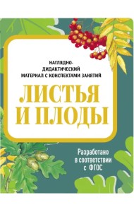 Наглядно-дидактический материал. Листья и плоды