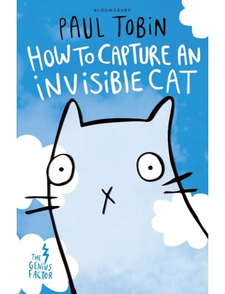How to Capture an Invisible Cat