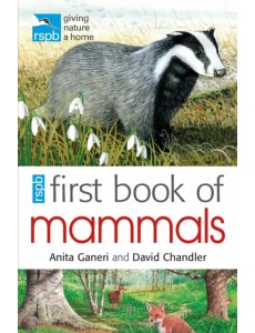 RSPB First Book Of Mammals