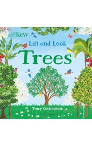 Lift and Look Trees