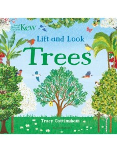 Lift and Look Trees