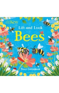 Lift and Look Bees