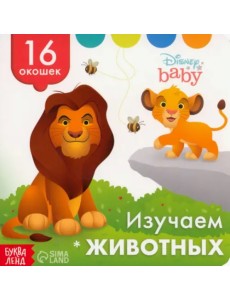 Изучаем животных. Книга с окошками Изучаем животных. Книга с окошками