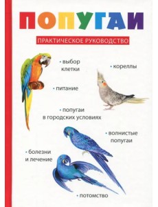 Попугаи Попугаи