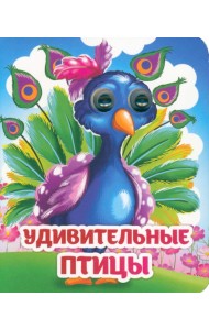 Весёлые глазки. Удивительные птицы