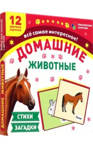 Домашние животные. 12 цветных карточек. Стихи и загадки