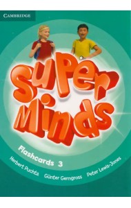 Super Minds. Level 3. Flashcards
