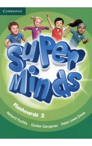 Super Minds. Level 2. Flashcards