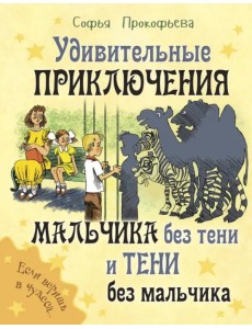 Удивительные приключения мальчика без тени и тени без мальчика Удивительные приключения мальчика без тени и тени без мальчика