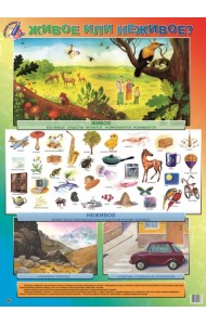 Детский плакат. Живое или неживое