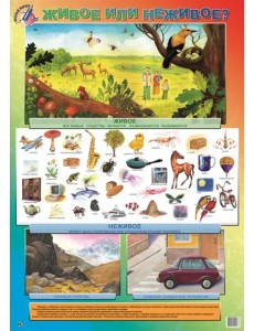 Детский плакат. Живое или неживое