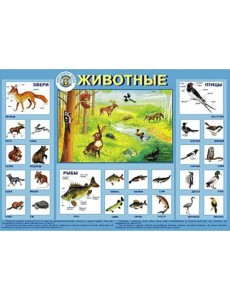 Детский плакат. Животные