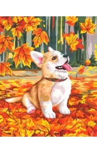 Картина по номерам на холсте с подрамником. Корги в осенней листве