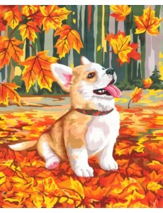 Картина по номерам на холсте с подрамником. Корги в осенней листве Картина по номерам на холсте с подрамником. Корги в осенней листве