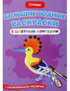 Птицы. Водная раскраска с цветным контуром + развивающие задания Птицы. Водная раскраска с цветным контуром + развивающие задания