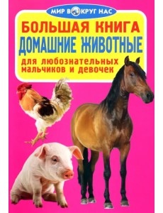 Домашние животные Домашние животные