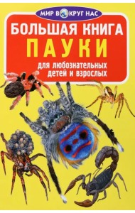 Пауки