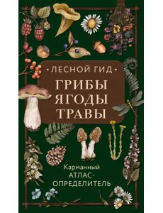 Лесной гид. Грибы, ягоды, травы. Карманный атлас-определитель Лесной гид. Грибы, ягоды, травы. Карманный атлас-определитель