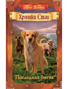 Последняя битва Последняя битва