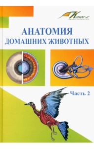 Анатомия домашних животных. Часть 2