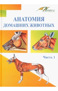 Анатомия домашних животных. Часть 1