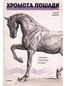 Хромота лошади. Причины. Симптомы. Лечение Хромота лошади. Причины. Симптомы. Лечение