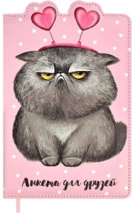 Анкета для друзей Котик