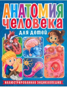 Анатомия человека для детей. Иллюстрированная энциклопедия