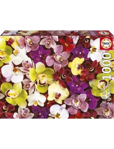 Пазл-1000 Коллаж из орхидей
