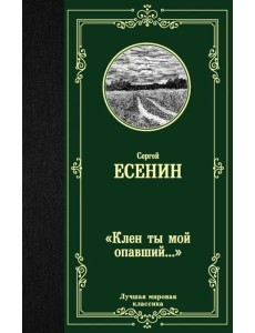 Клен ты мой опавший... Клен ты мой опавший...