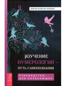 Изучение нумерологии — путь самопознания. Руководство для начинающих