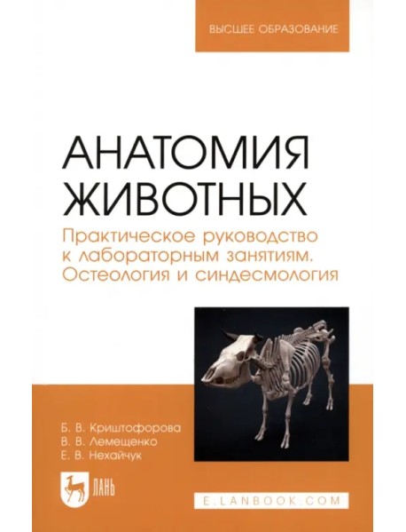 Анатомия животных. Практическое руководство к лабораторным занятиям. Остеология и синдесмология