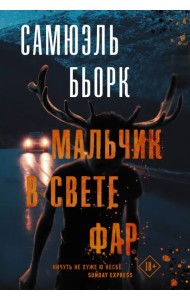 Мальчик в свете фар