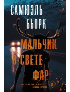 Мальчик в свете фар
