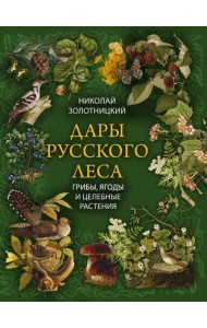 Дары русского леса. Грибы, ягоды и целительные растения