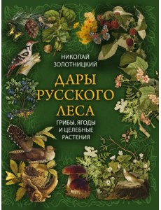 Дары русского леса. Грибы, ягоды и целительные растения Дары русского леса. Грибы, ягоды и целительные растения