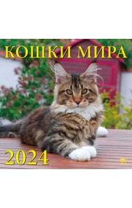 2024 Календарь Кошки мира