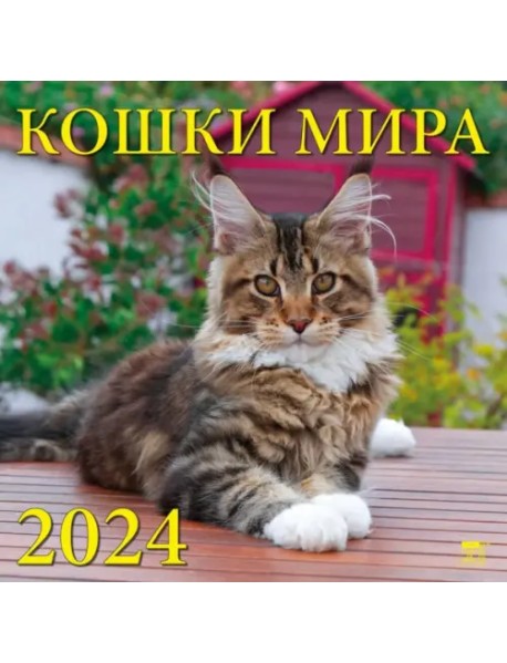 2024 Календарь Кошки мира