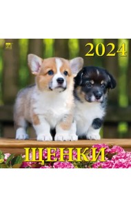 2024 Календарь Щенки